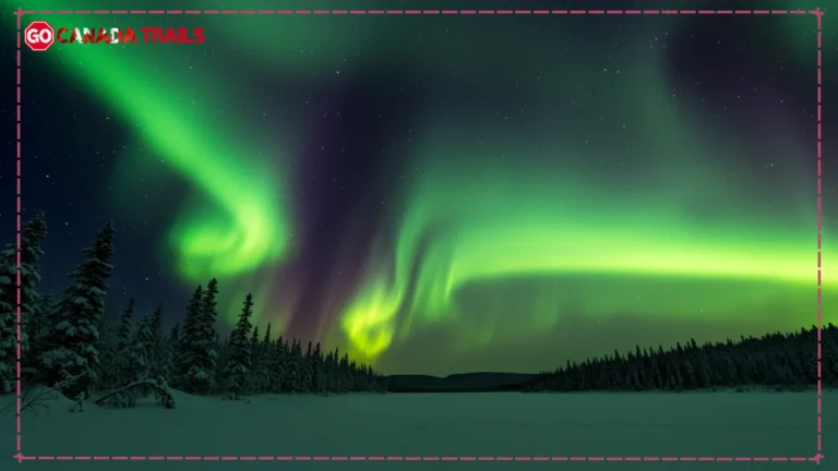 Majestic aurora borealis dancing over a frozen Canadian lake with snow-covered pine trees in the foreground, showcasing vibrant green and purple lights reflecting on the icy water. Best Time to See Northern Lights in Canada
